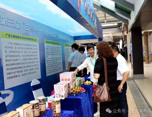 茂名鄉村振興出圈出彩，茂湛高速服務區變身農特產墟市與票務代理服務